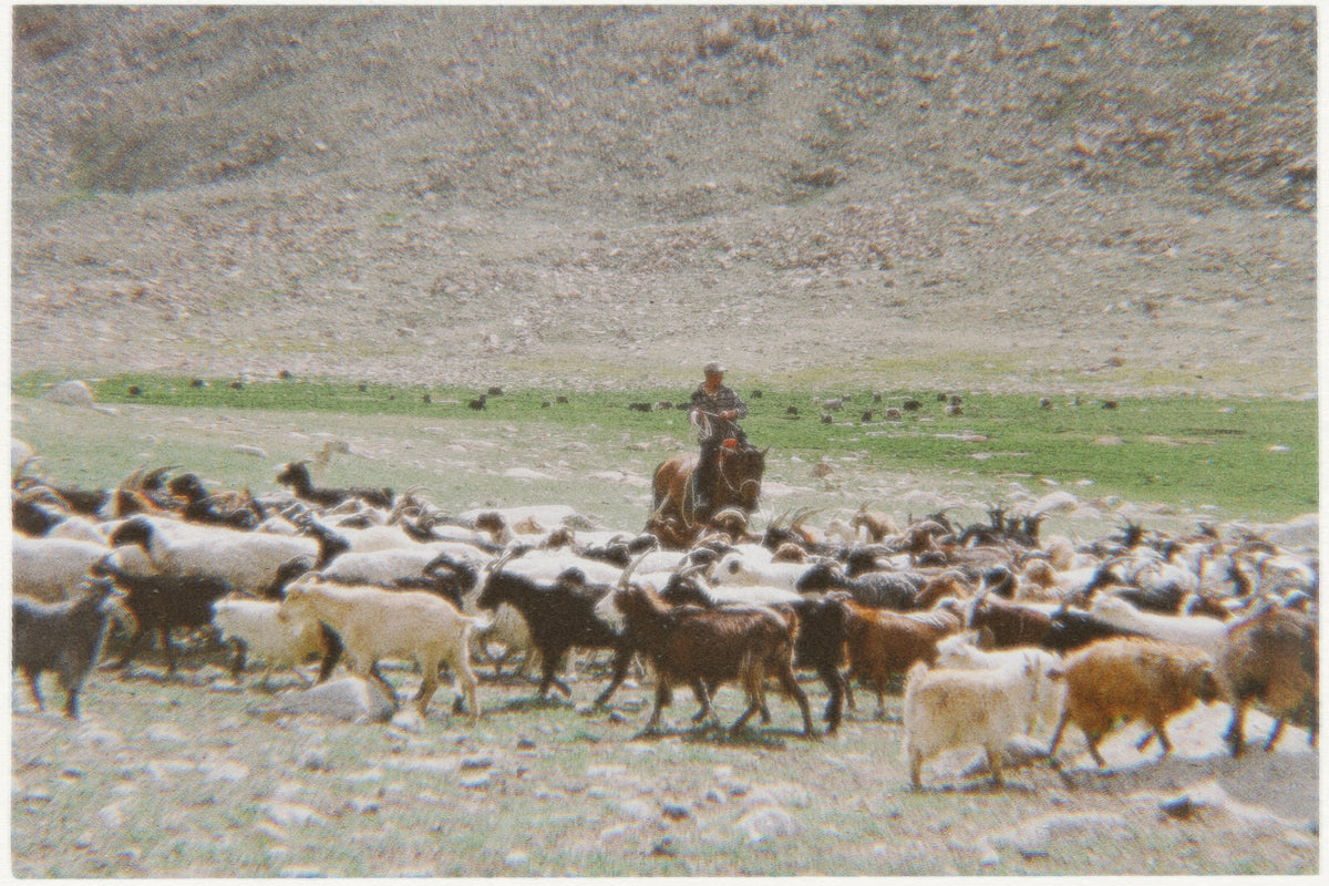 Traceability