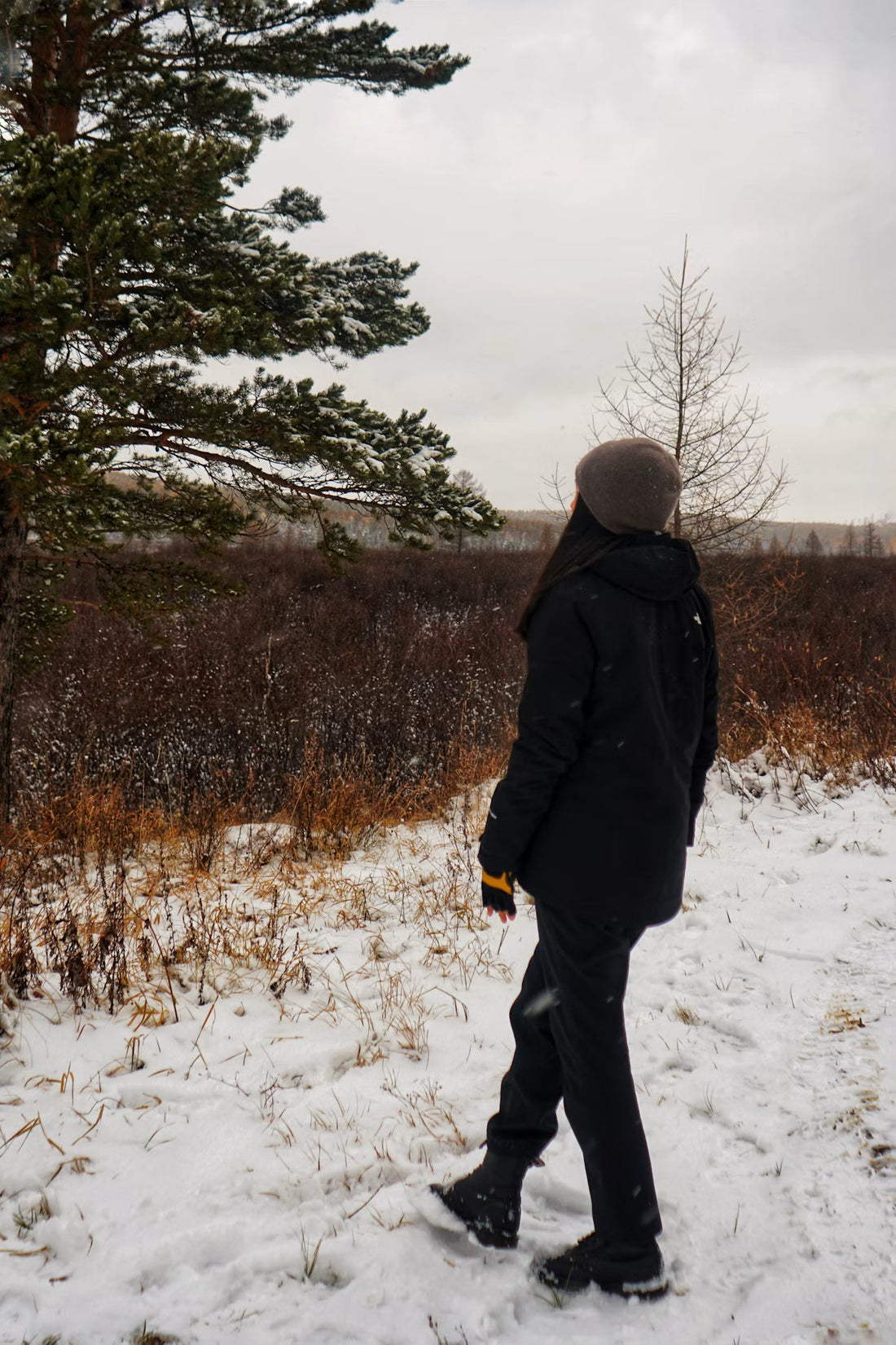 What −40°C taught us about what 'warm' actually means