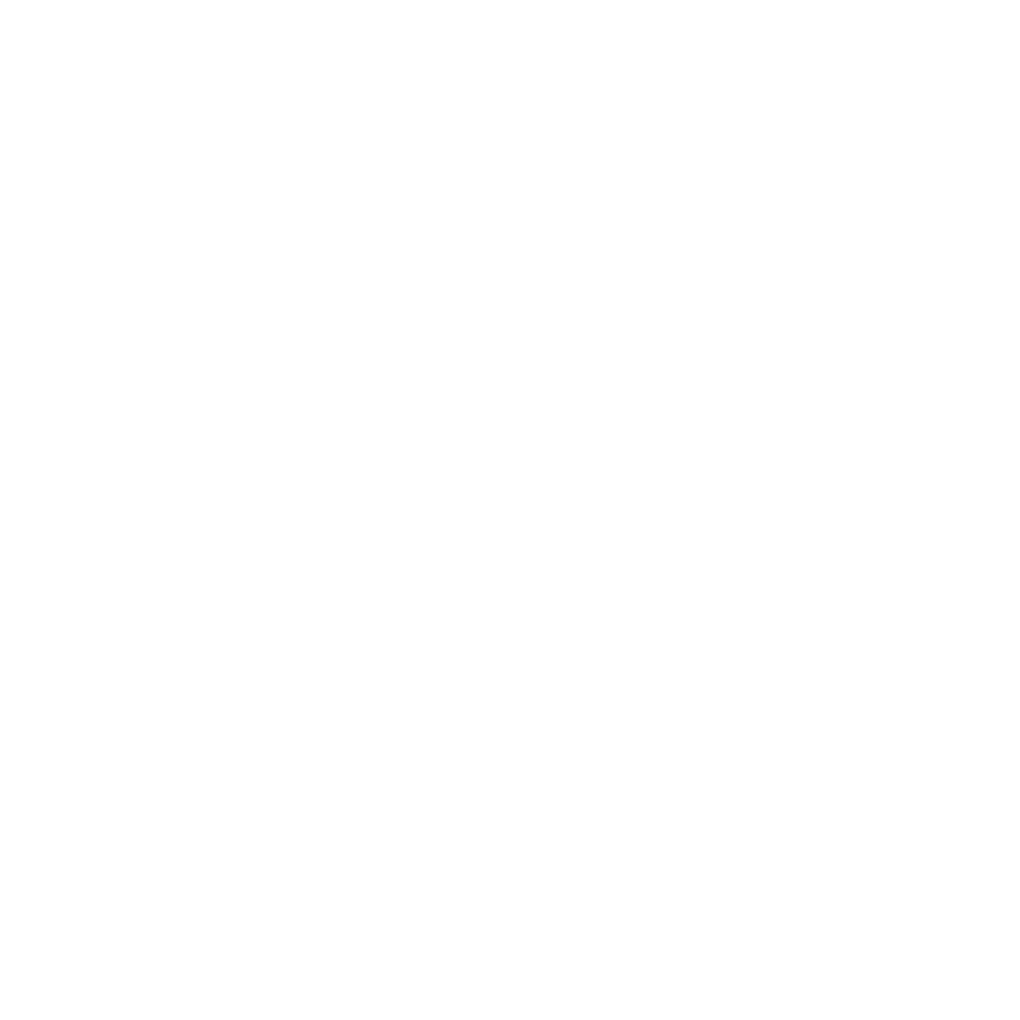 WOLLKEN STUDIO